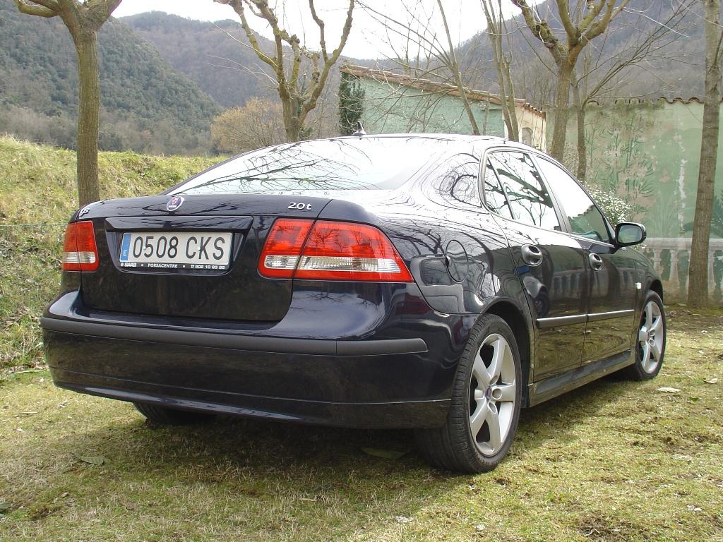 saab_pupss01.JPG