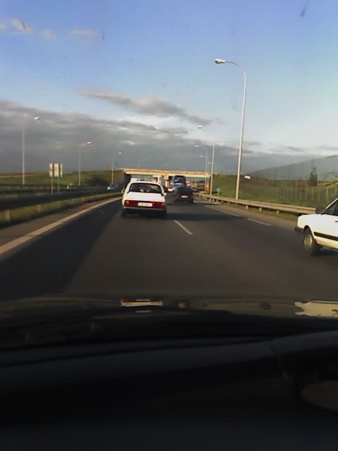 10-04-06_1931.jpg