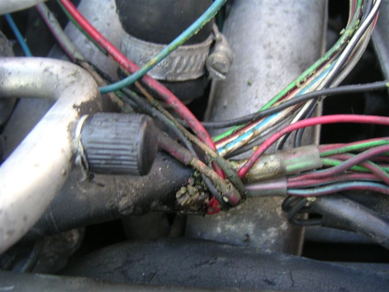 PICT0344.JPG