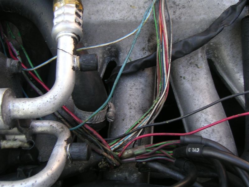 PICT0343.JPG