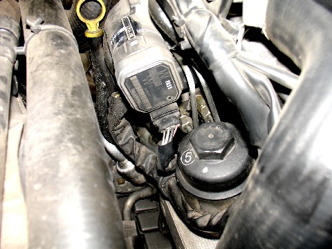 DSC011241.JPG